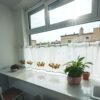 Camellia Embroidery Café Curtain (3) camellia embroidery yarn café curtain semi sheer farmhouse window valance