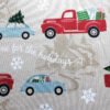 Light Green Snowflake Foam-Core Dish Drying Mat – Wholesale (3) Light Green Snowflake Foam-Core Dish Drying Mat – Festive Absorbent Kitchen Pad