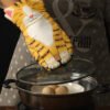Orange Cat Paw Microwave Oven Mitt - Heat Resistant Cotton (3) Cute Cat Paw Microwave Oven Mitts - Cotton, Orange
