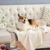 Waterproof Sherpa Dog Blanket Wholesale – GeoWeave