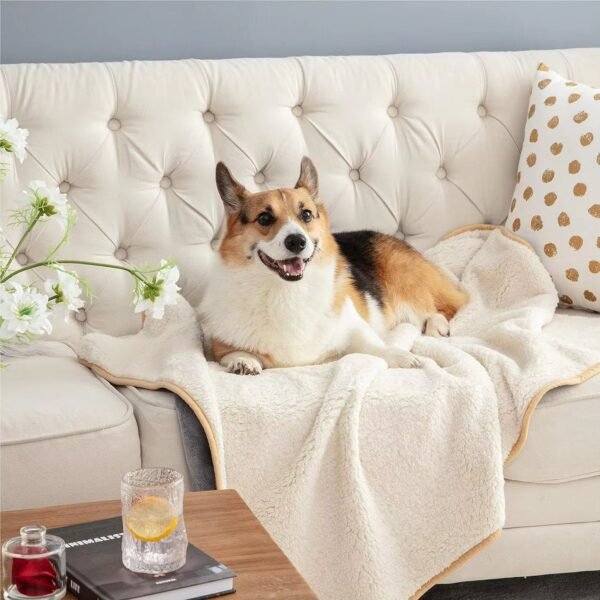 Waterproof Sherpa Dog Blanket Wholesale – GeoWeave
