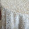 ivory embroidered tablecloth (4) Ivory Polka Dot Feather Embroidered Tulle Tablecloth for Luxury Events – ER033